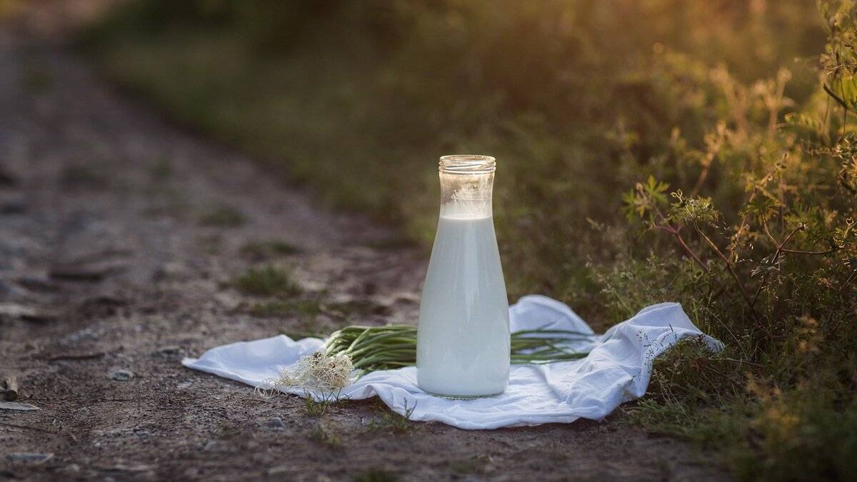 Haber Başlığı