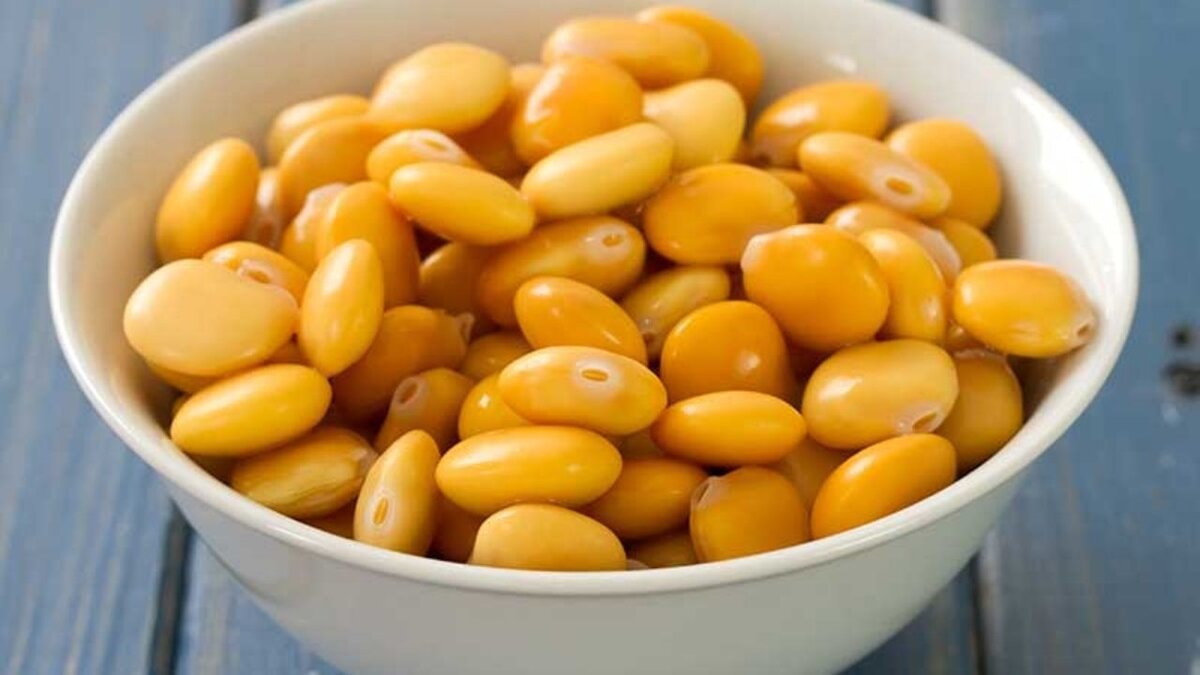 Haber Başlığı