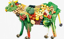 Vegan beslenmesine besleniyoruz da acaba doğru mu yapıyoruz?