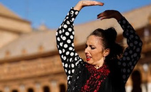 Uluslararası Dünya Flamenko Günü buruk kutlandı