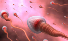 Araştırıldı: İnsan spermlerinin yüzüşü fizik kurallarını çiğniyor