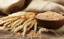 Cilde gençlik, bedene direnç verir: Ruşeym