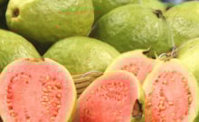 Güçlü bir antibiyotik, yaşlanma karşıtı: Guava meyvesinin bilinmeyen faydaları