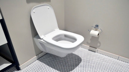 Tuvaletinizdeki kötü kokuları anında yok edin: Profesyonel ipuçları