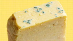 Küflenmiş peynir tüketilir mi 