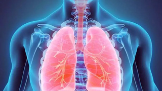 Akciğer detoksu: Sağlıklı nefes almanın anahtarı