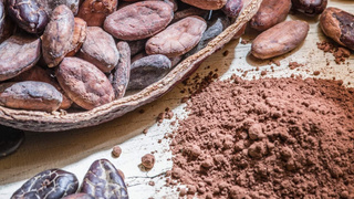 Sindirimi iyileştirin, enerjiyi artırın: Kakao’nun gücü