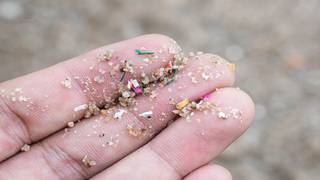 Her insan haftada ortalama bir kredi kartı gramında mikroplastik yiyor!