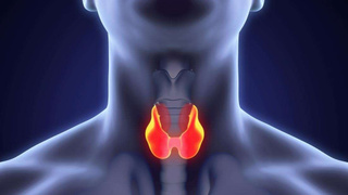 Tiroid sağlığı: Kontrol altında tutmanın önemi