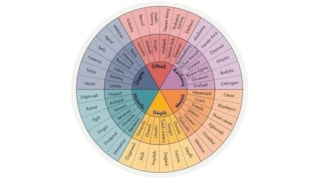 Kendini tanımanın gücü: Duygu çarkı