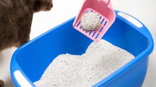 Hamilelikte bunu sakın yapmayın! Sebebi şok edecek...